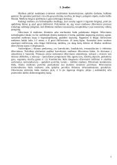 Medienos džiovinimas ir sauga 2 puslapis