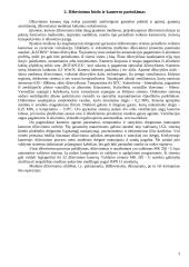 Medienos džiovinimas ir sauga 3 puslapis