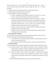 Metinio pelno mokesčio apskaičiavimas 12 puslapis