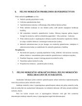 Metinio pelno mokesčio apskaičiavimas 13 puslapis