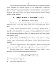 Metinio pelno mokesčio apskaičiavimas 7 puslapis