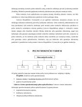 Metinio pelno mokesčio apskaičiavimas 9 puslapis