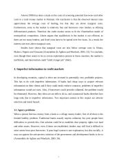 Microcredit. The solution to failures in the credit market 7 puslapis