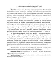 Mikroekonomikos mokslo susiformavimas ir raida 5 puslapis