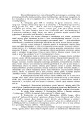 E. Hemingvėjus "Senis ir jūra" 2 puslapis