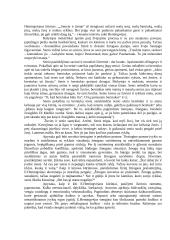 E. Hemingvėjus "Senis ir jūra" 3 puslapis