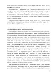 Mikroekonominės ir makroekonominės problemos, jų situacija Lietuvoje 18 puslapis