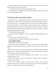 Mikroekonominės ir makroekonominės problemos, jų situacija Lietuvoje 20 puslapis