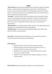 Mikroekonominės ir makroekonominės problemos, jų situacija Lietuvoje 3 puslapis
