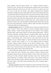 Mikroekonominės ir makroekonominės problemos, jų situacija Lietuvoje 6 puslapis
