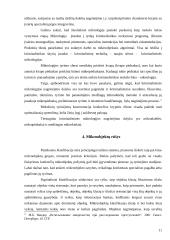 Mikroobjektų samprata ir jų rūšys 11 puslapis