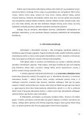 Mikroobjektų samprata ir jų rūšys 15 puslapis