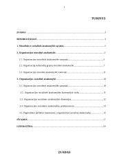 Organizacijos moralinė socialinė atsakomybė