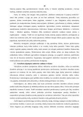 Mokesčių sistemos formavimas išsivysčiusiose šalyse 17 puslapis