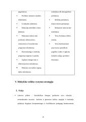 Mokyklos veiklos strategija: Kauno Vydūno vidurinė mokykla. 2006-2010 metų strateginis planas 11 puslapis