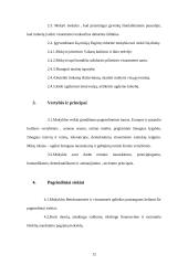 Mokyklos veiklos strategija: Kauno Vydūno vidurinė mokykla. 2006-2010 metų strateginis planas 13 puslapis