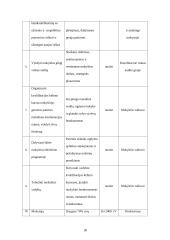 Mokyklos veiklos strategija: Kauno Vydūno vidurinė mokykla. 2006-2010 metų strateginis planas 19 puslapis