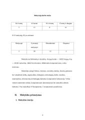 Mokyklos veiklos strategija: Kauno Vydūno vidurinė mokykla. 2006-2010 metų strateginis planas 5 puslapis