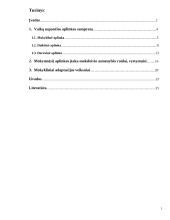 Mokymosi aplinka ir ją įtakojantys  veiksniai 2 puslapis