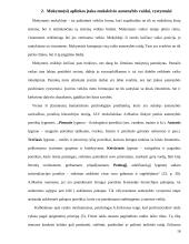 Mokymosi aplinka ir ją įtakojantys  veiksniai 17 puslapis