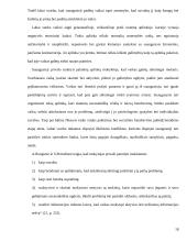 Mokymosi aplinka ir ją įtakojantys  veiksniai 19 puslapis