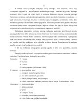 Mokinių pasiekimų vertinimas 14 puslapis