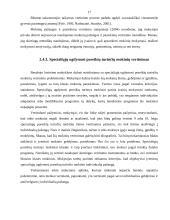 Mokinių pasiekimų vertinimas 17 puslapis