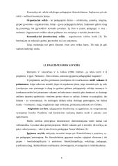 Mokytojo pašaukimo esmė ir ugdymas 6 puslapis