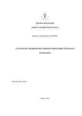 City-info.net informacinio terminalo reklaminė strategija