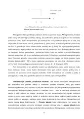 Monopolijų įtaka Lietuvos ekonomikai 14 puslapis