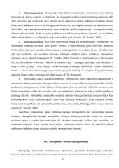 Monopolijų įtaka Lietuvos ekonomikai 18 puslapis