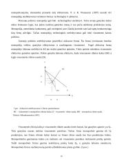 Monopolijų įtaka Lietuvos ekonomikai 19 puslapis
