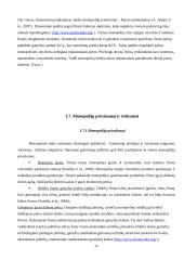 Monopolijų įtaka Lietuvos ekonomikai 20 puslapis