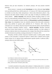 Monopolijų įtaka Lietuvos ekonomikai 9 puslapis