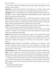 Moters įvaizdis reklamoje 15 puslapis