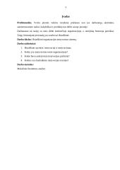 Motyvacija organizacijoje 2 puslapis