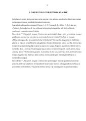 Motyvacija organizacijoje 3 puslapis