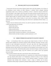 Motyvacija: socialiniai motyvatoriai ir darbo užmokestis 3 puslapis
