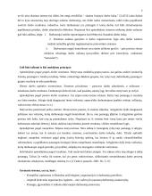 Motyvacija: socialiniai motyvatoriai ir darbo užmokestis 6 puslapis