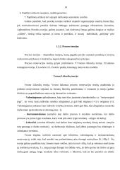 Motyvavimo priemonių naudojimas įmonėje 14 puslapis