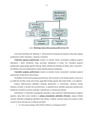 Namų ūkių išlaidų ir pajamų analizė 14 puslapis