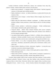 Namų ūkių išlaidų ir pajamų analizė 19 puslapis