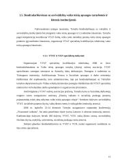 Našlaičių įvaikinimas ir globa Lietuvoje 13 puslapis