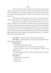 Naujos prekės kūrimo ir įvedimo į rinka projektas 2 puslapis