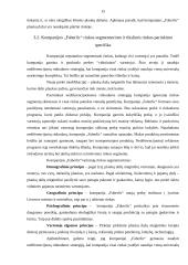 Naujos prekės kūrimo ir įvedimo į rinka projektas 15 puslapis