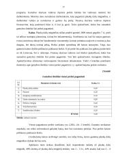 Naujos prekės kūrimo ir įvedimo į rinka projektas 17 puslapis