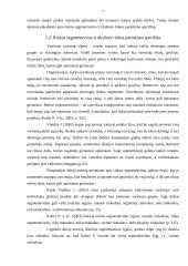 Naujos prekės kūrimo ir įvedimo į rinka projektas 7 puslapis