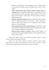 Neapmokėjimo rizika tarptautiniuose atsiskaitymuose 12 puslapis