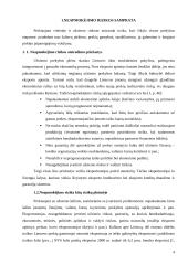 Neapmokėjimo rizika tarptautiniuose atsiskaitymuose 4 puslapis