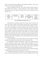 Neapmokėjimo rizika tarptautiniuose atsiskaitymuose 5 puslapis